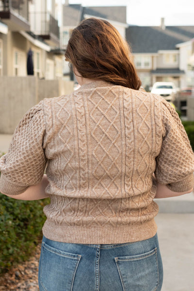 Back view of the plus size taupe short sleeve sweater