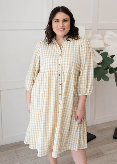 Plus size taupe gingham button down dress 